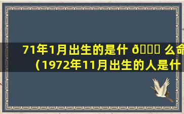 71年1月出生的是什 🐝 么命（1972年11月出生的人是什么命）